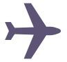 Domestic Express Shipping Domestic Express Shipping