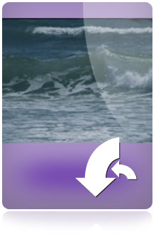 Newport Waves