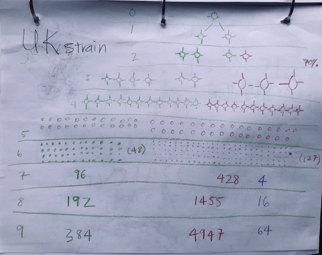 Rough infographic drawing of UK strain outcompeting the previous strains