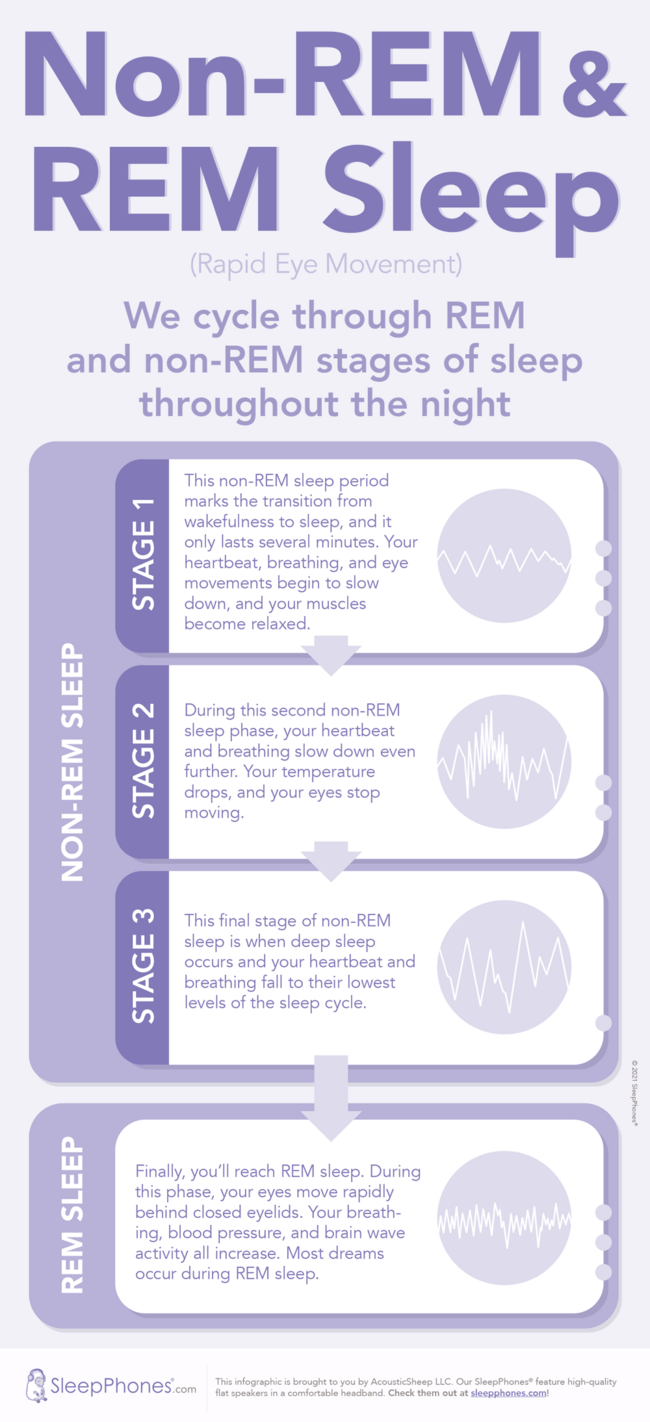 Purple infographic about non-REM and REM sleep (rapid eye movement) with brainwave activity sketches for each stage. We cycle through REM and non-REM stages of sleep throughout the night. Non-REM sleep has three stages. Stage 1, this non-REM sleep period marks the transition from wakefulness to sleep, and it only lasts several minutes. Your heartbeat, breathing, and eye movements begin to slow down, and your muscles become relaxed. During the second stage of non-REM sleep, your heartbeat and breathing slow down even further. Your temperature drops, and your eyes stop moving. The third stage of non-REM sleep is when deep sleep occurs and your heartbeat and breathing fall to their lowest levels of the sleep cycle. Finally, you’ll reach REM sleep. During this phase, your eyes move rapidly behind closed eyelids. Your breathing, blood pressure, and brain wave activity all increase. Most dreams occur during REM sleep. This infographic is brought to you by AcousticSheep LLC. Our SleepPhones feature high-quality flat speakers in a comfortable headband. Check them out at sleepphones.com.