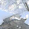 calming river in a snowy wood