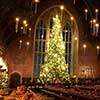 christmas in the great hall of hogwarts