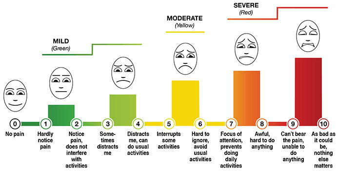 veterans affairs standardized pain scale