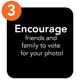 Encourage friends and family to vote for your photo