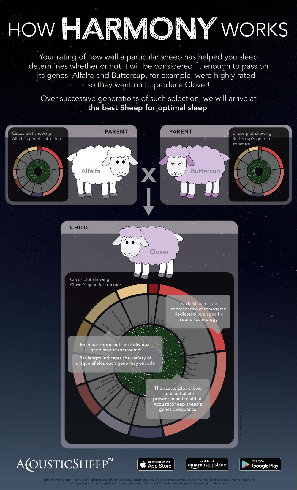 Sleep Sounds machine learning sleep induction project infographic
