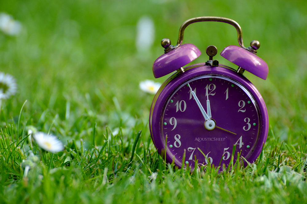 AcousticSheep Purple Alarm Clock