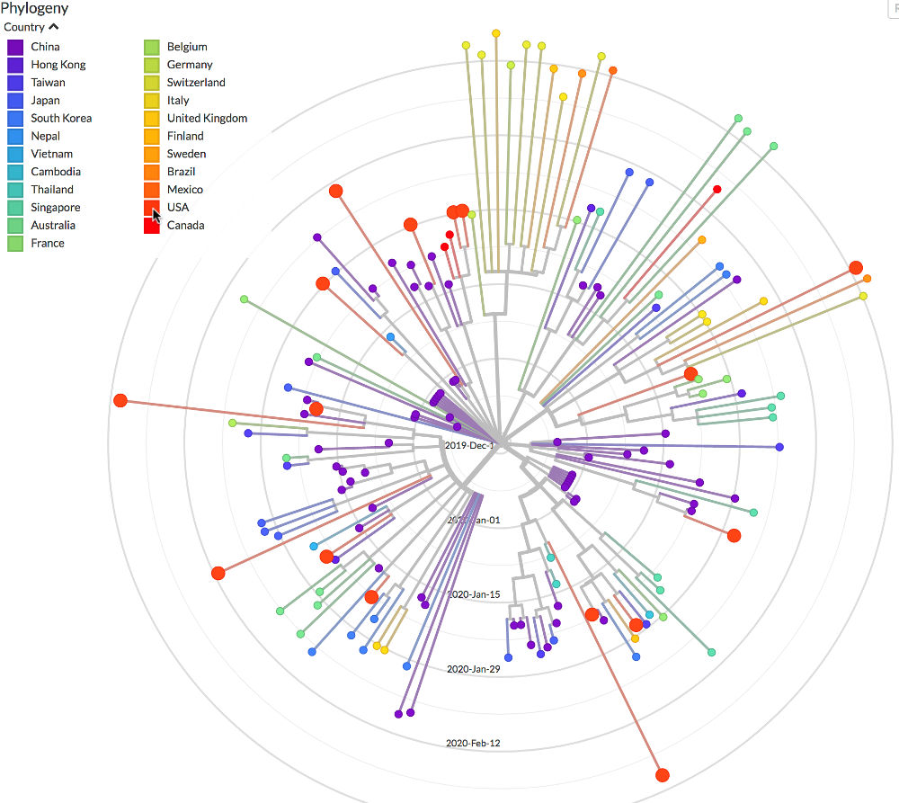 coronavirus phylogeny march 4th 2020