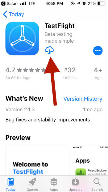 Screenshot of TestFlight in App Store before installation