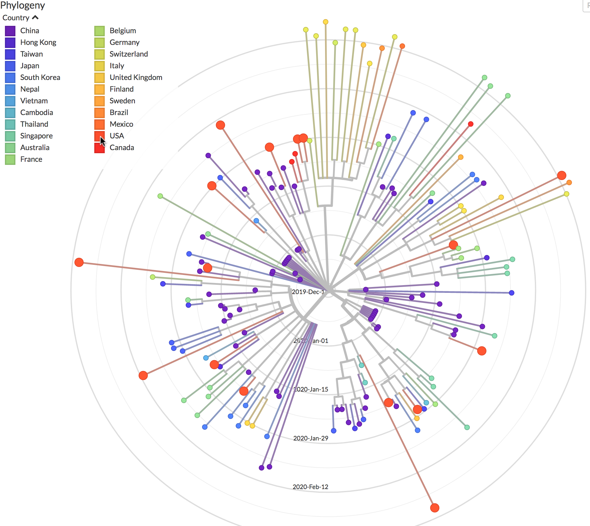 coronavirus phylogeny march 4th 2020